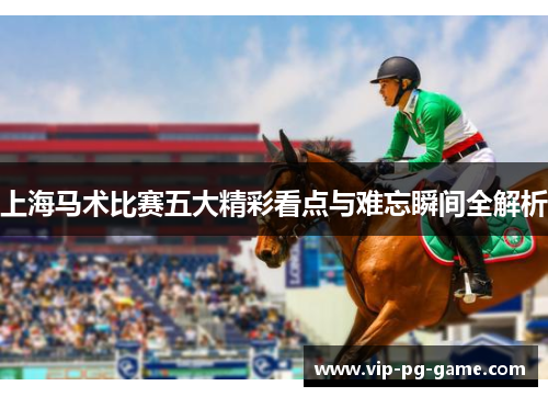 上海马术比赛五大精彩看点与难忘瞬间全解析