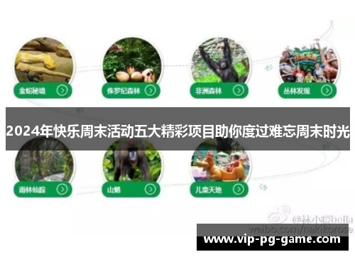 2024年快乐周末活动五大精彩项目助你度过难忘周末时光