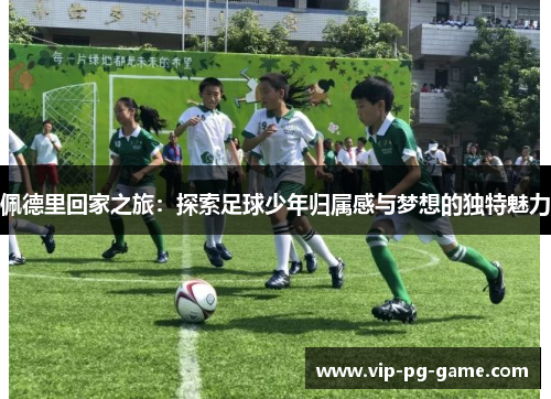 佩德里回家之旅：探索足球少年归属感与梦想的独特魅力