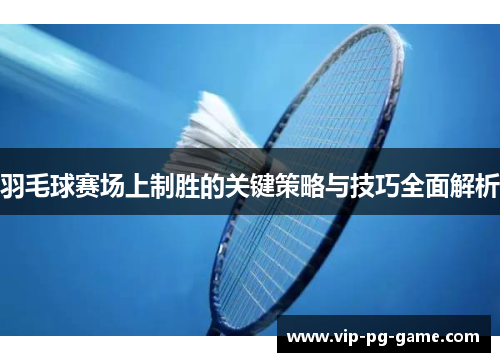 羽毛球赛场上制胜的关键策略与技巧全面解析