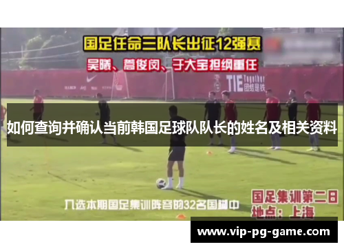 如何查询并确认当前韩国足球队队长的姓名及相关资料