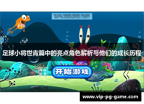 足球小将世青篇中的亮点角色解析与他们的成长历程