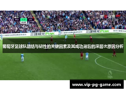 葡萄牙足球队团结与韧性的关键因素及其成功背后的深层次原因分析