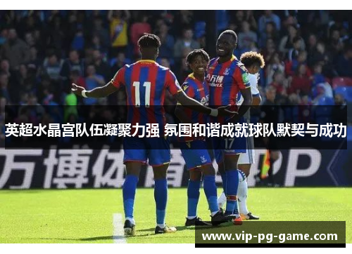 英超水晶宫队伍凝聚力强 氛围和谐成就球队默契与成功 英超水晶宫队伍凝聚力强 氛围和谐成就球队默契与成功